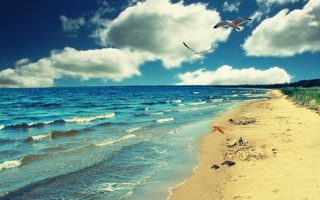 Perfect Ocean Beach Picture for Android, iPhone and iPad