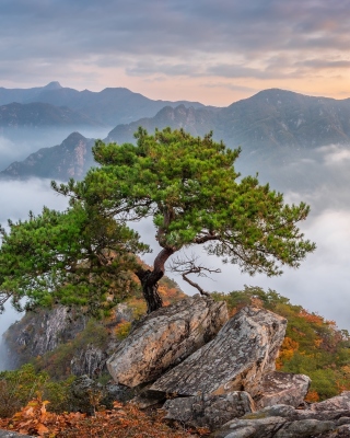Bukhansan National Park in Seoul sfondi gratuiti per Nokia Lumia 928