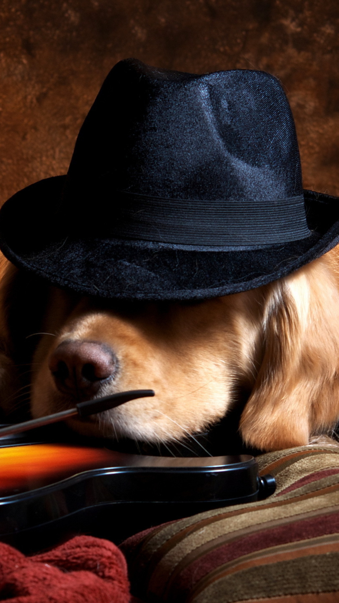 Das Dog In Hat Wallpaper 1080x1920