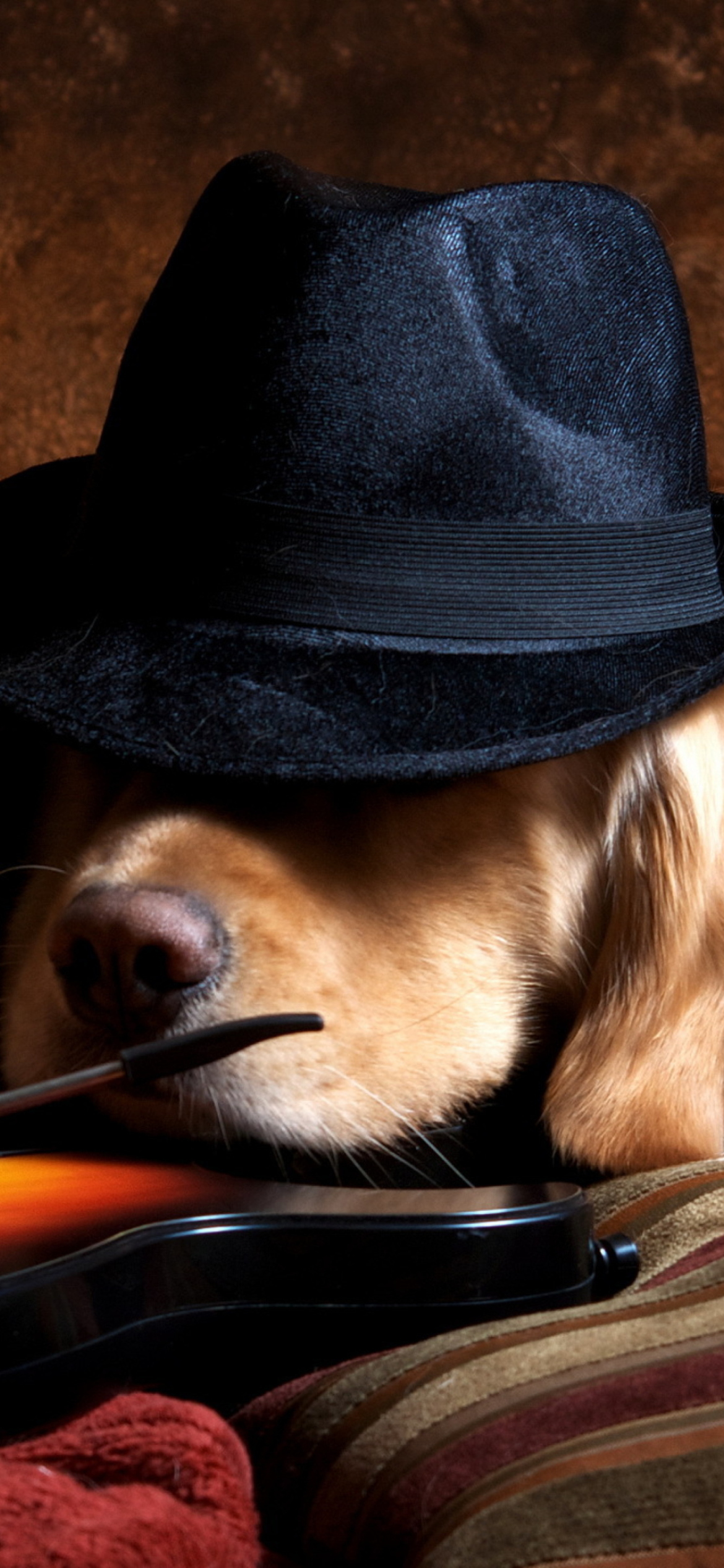Das Dog In Hat Wallpaper 1170x2532