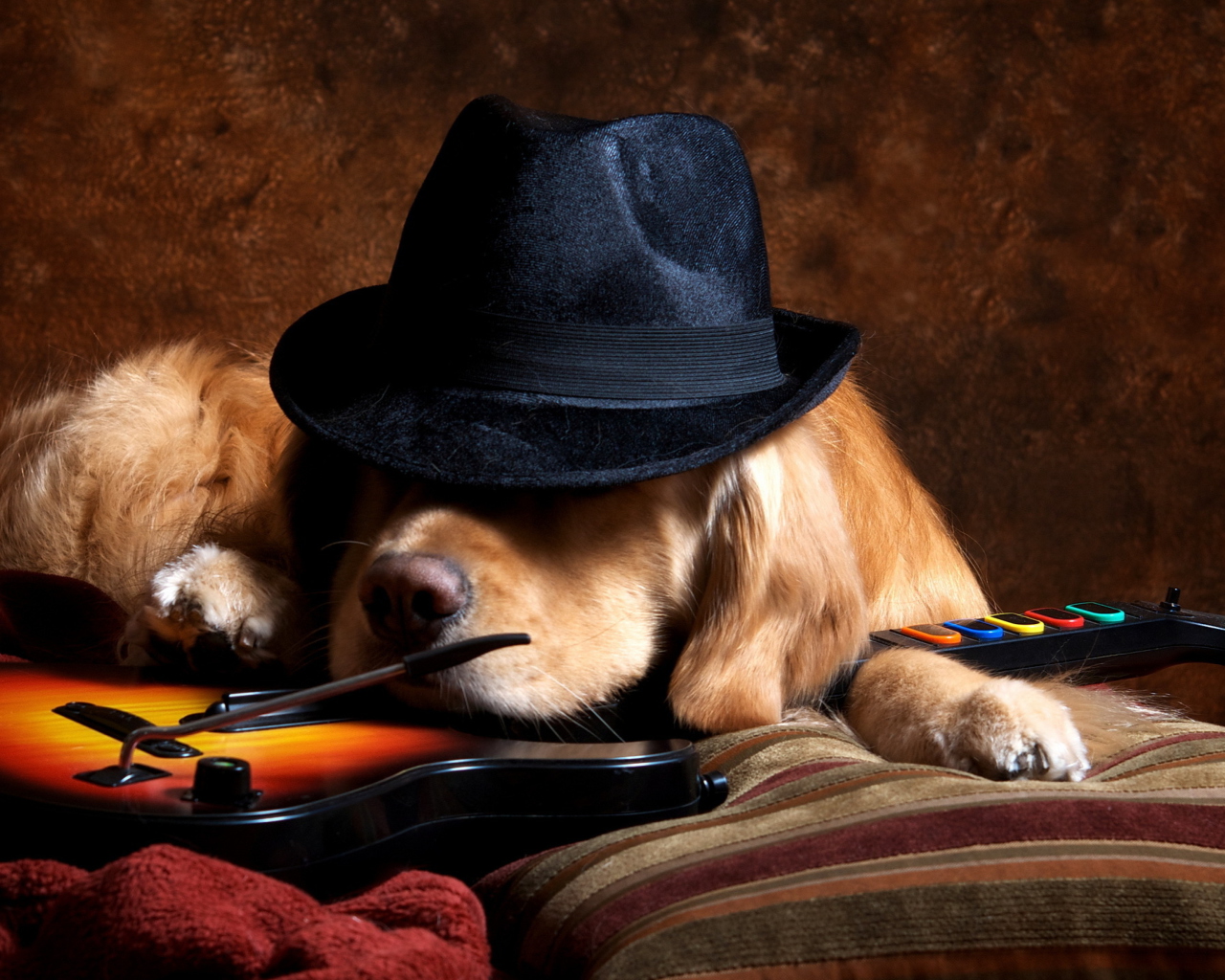Dog In Hat wallpaper 1280x1024