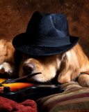 Das Dog In Hat Wallpaper 128x160
