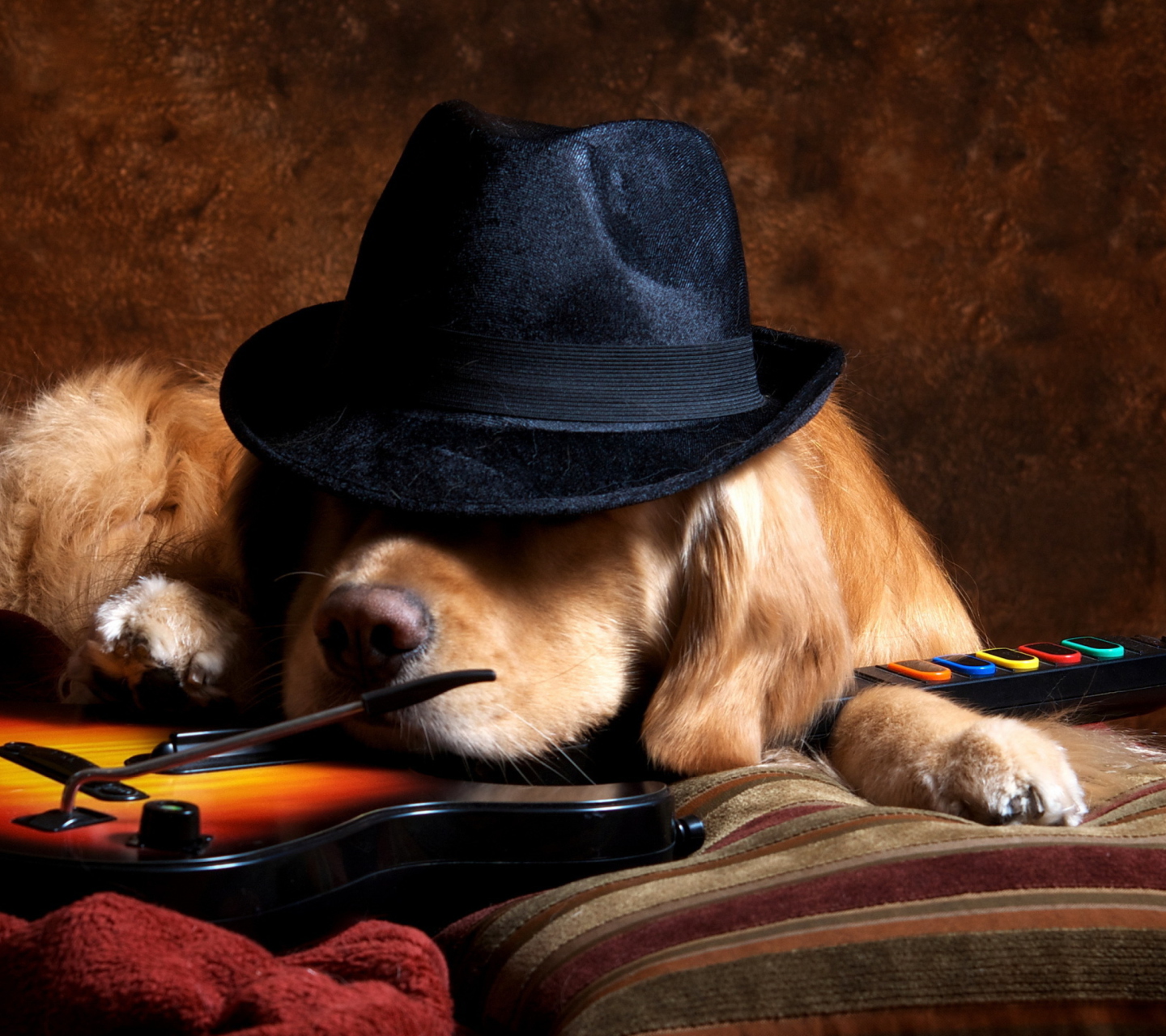 Das Dog In Hat Wallpaper 1440x1280