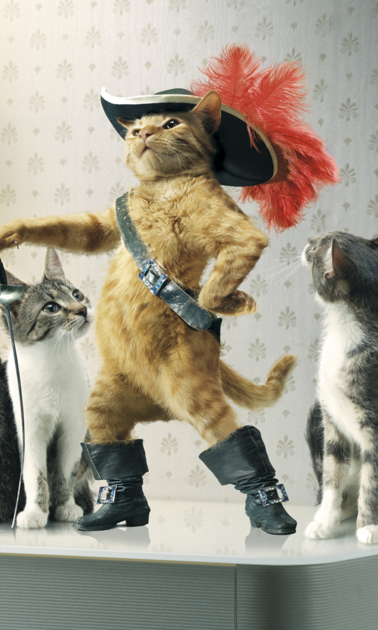 Das Puss in Boots Wallpaper 768x1280