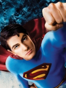 Screenshot №1 pro téma Superman Returns 132x176