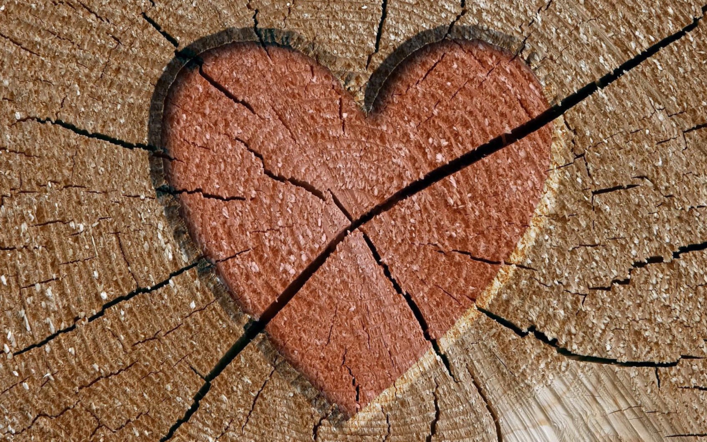Sfondi Wooden Heart 1440x900