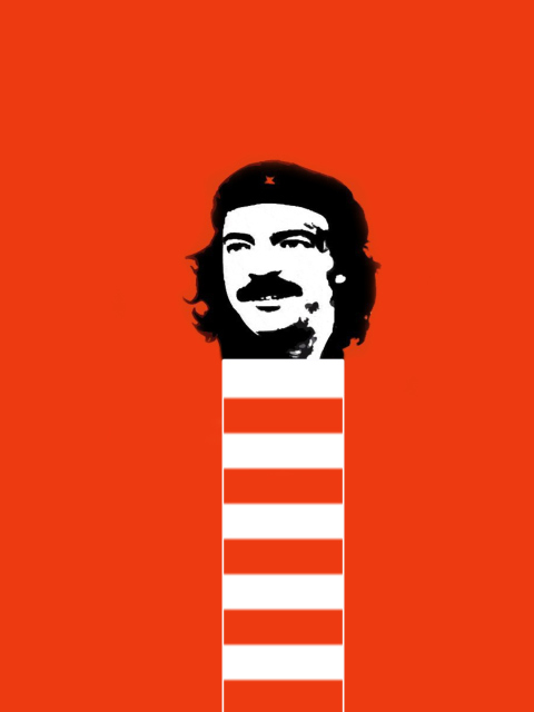 Fondo de pantalla Ernesto Che Guevara 480x640