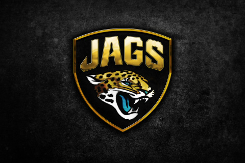 Обои Jacksonville Jaguars NFL Team Logo 480x320