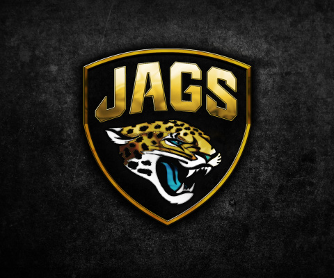Jacksonville Jaguars NFL Team Logo wallpaper 480x400