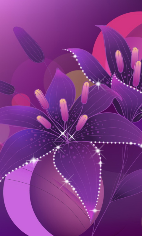 Das Violet Flowers Desktop Wallpaper 480x800