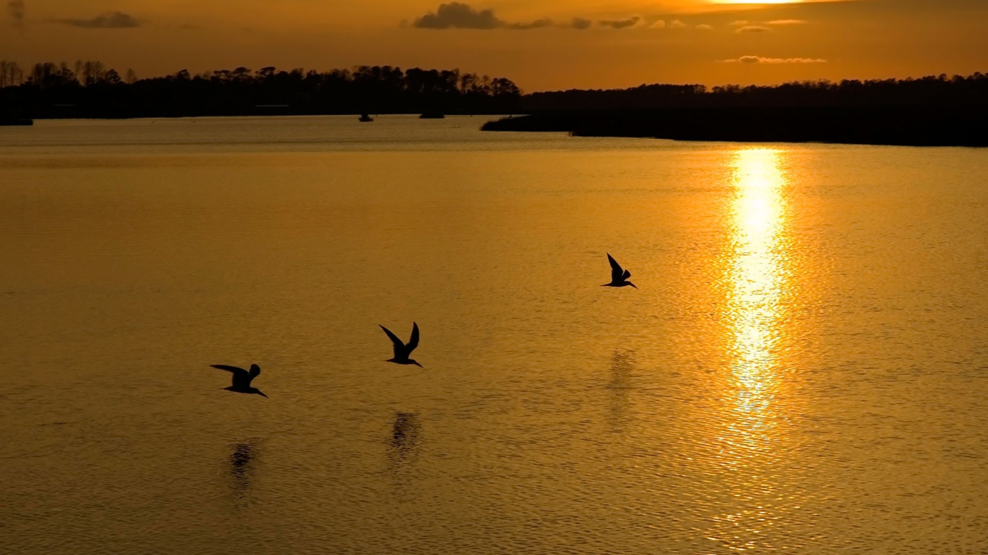 Sfondi Birds, Lake And Sunset 1920x1080