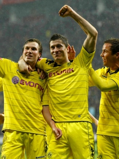 Screenshot №1 pro téma Borussia Dortmund 240x320