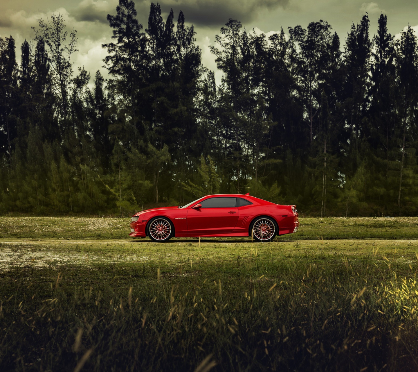 Обои Red Chevrolet Camaro 1440x1280