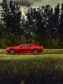 Fondo de pantalla Red Chevrolet Camaro 240x320