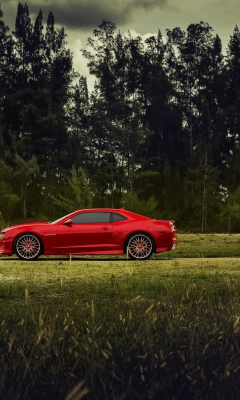 Red Chevrolet Camaro wallpaper 240x400