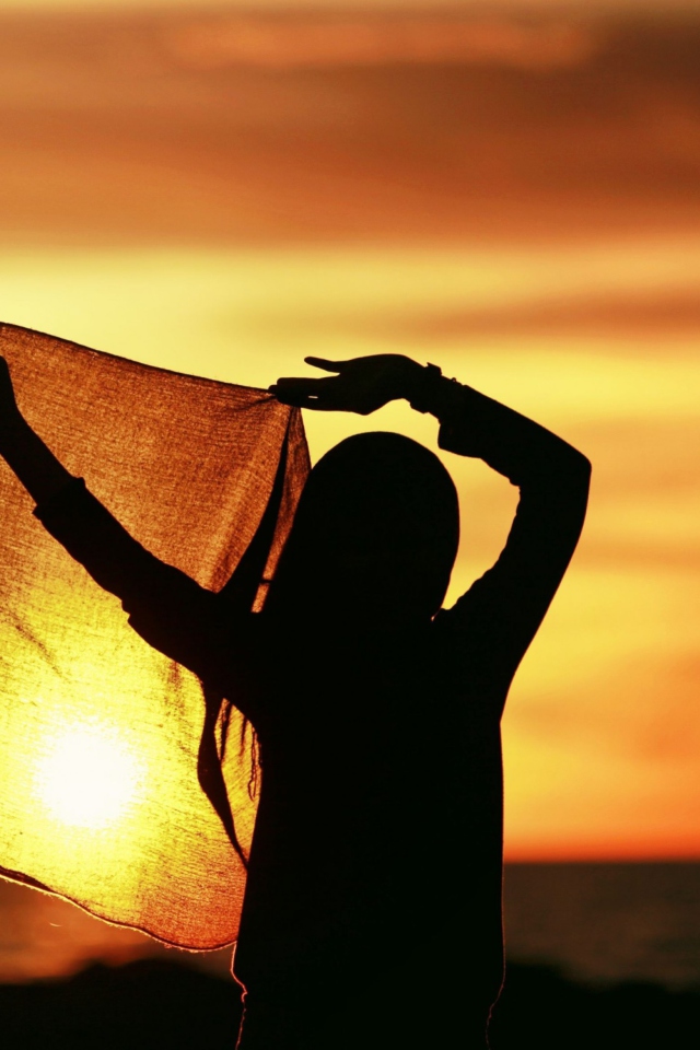 Girl Silhouette At Sunset screenshot #1 640x960
