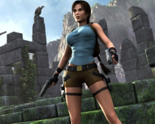 Обои Tomb Raider Lara Croft 220x176