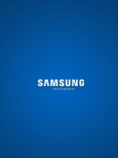 Samsung screenshot #1 132x176