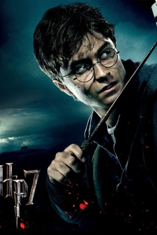 Harry Potter And The Deathly Hallows Part-1 wallpaper 320x480