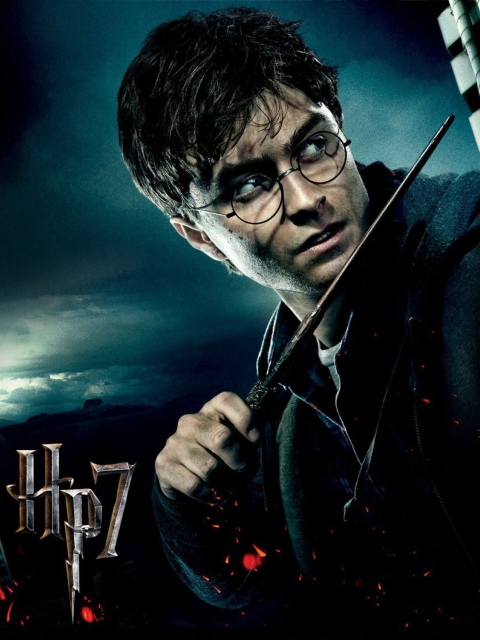 Das Harry Potter And The Deathly Hallows Part-1 Wallpaper 480x640