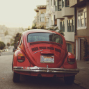 Red Beetle wallpaper 128x128