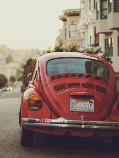 Das Red Beetle Wallpaper 240x320