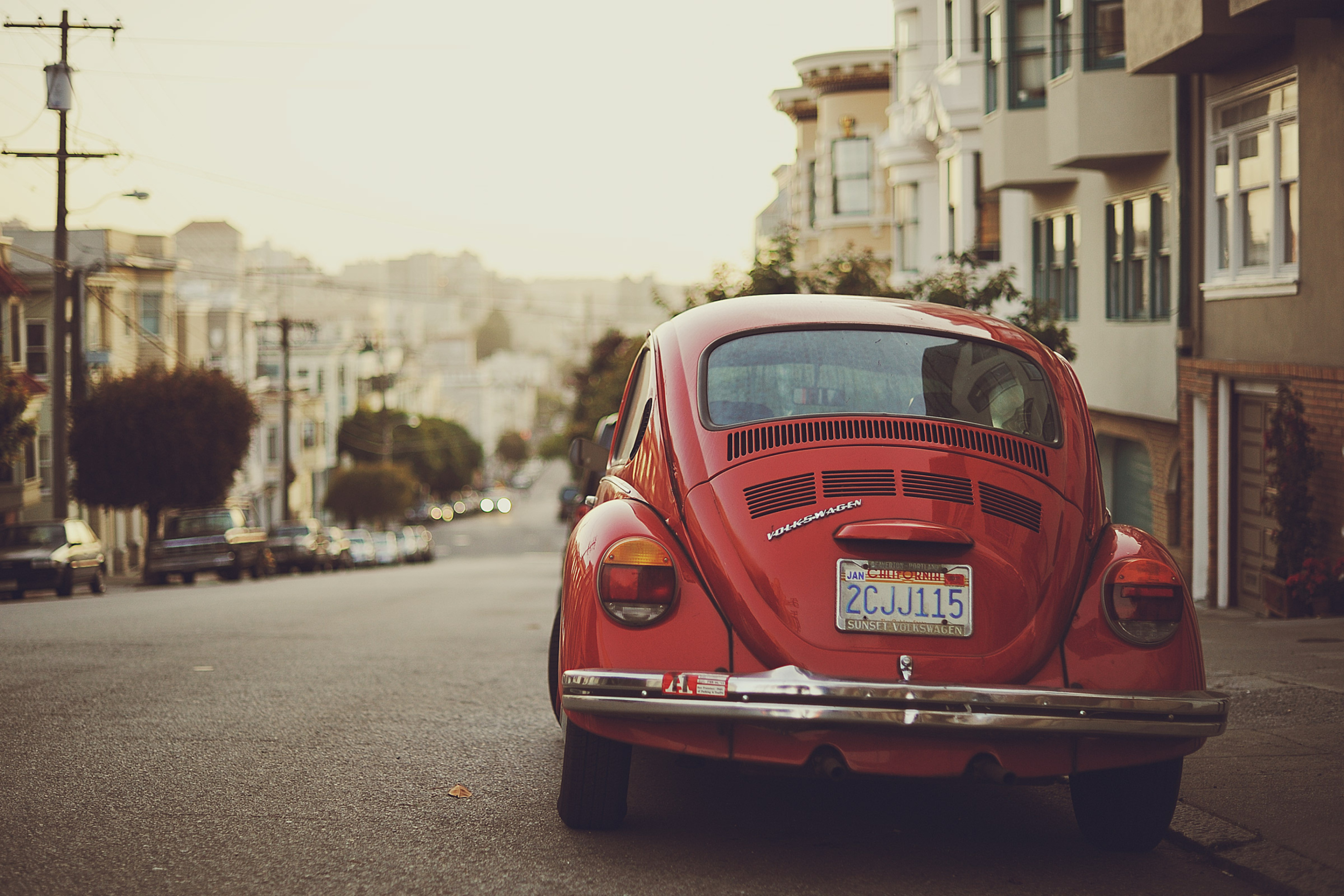 Fondo de pantalla Red Beetle 2880x1920