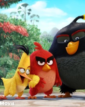 Das Angry Birds the Movie 2015 Movie by Rovio Wallpaper 176x220