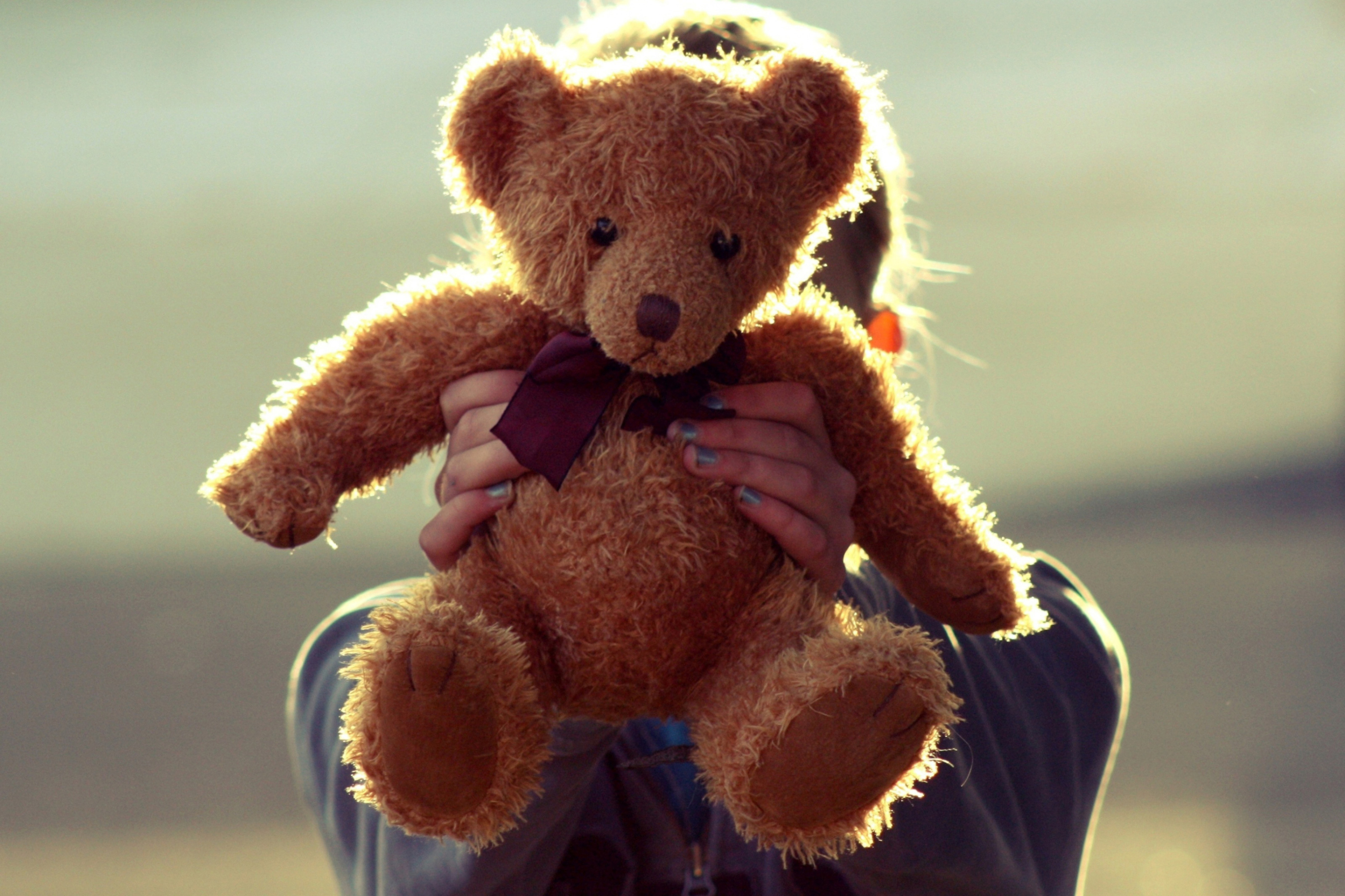 I Love My Teddy screenshot #1 2880x1920