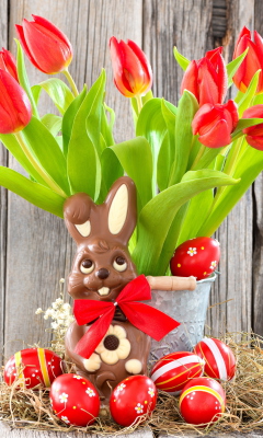 Sfondi Chocolate Easter Bunny 240x400