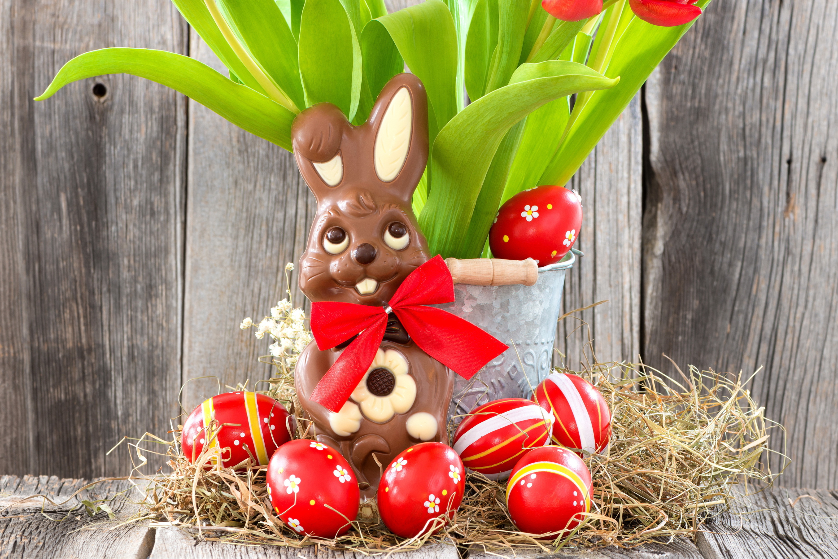 Fondo de pantalla Chocolate Easter Bunny 2880x1920