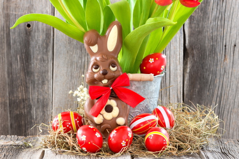 Chocolate Easter Bunny wallpaper 480x320