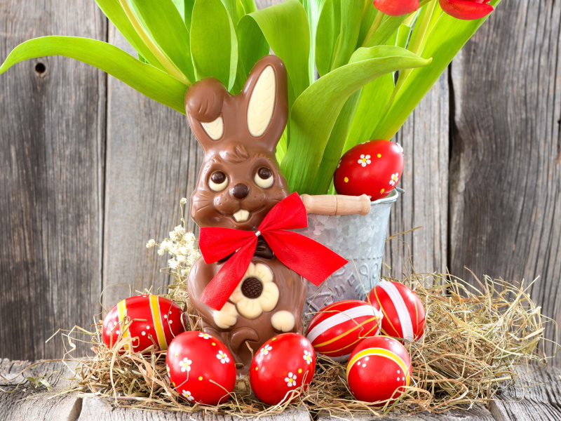 Fondo de pantalla Chocolate Easter Bunny 800x600