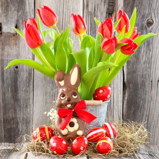 Chocolate Easter Bunny sfondi gratuiti per 1024x1024