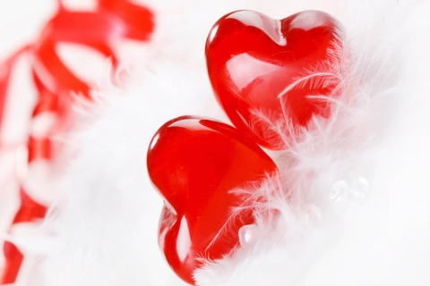 Red Hearts wallpaper 480x320