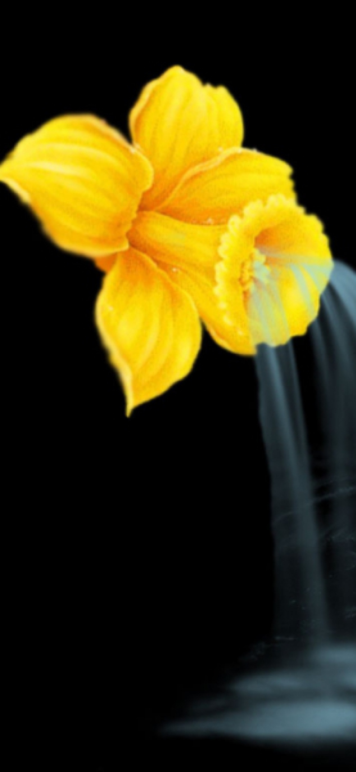 Fondo de pantalla Yellow Flower 1170x2532