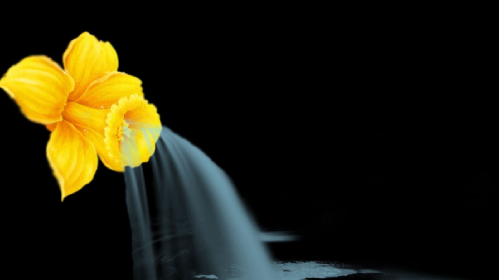 Fondo de pantalla Yellow Flower 1600x900