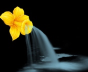 Yellow Flower screenshot #1 176x144