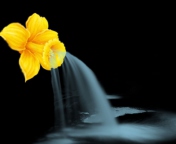 Screenshot №1 pro téma Yellow Flower 176x144