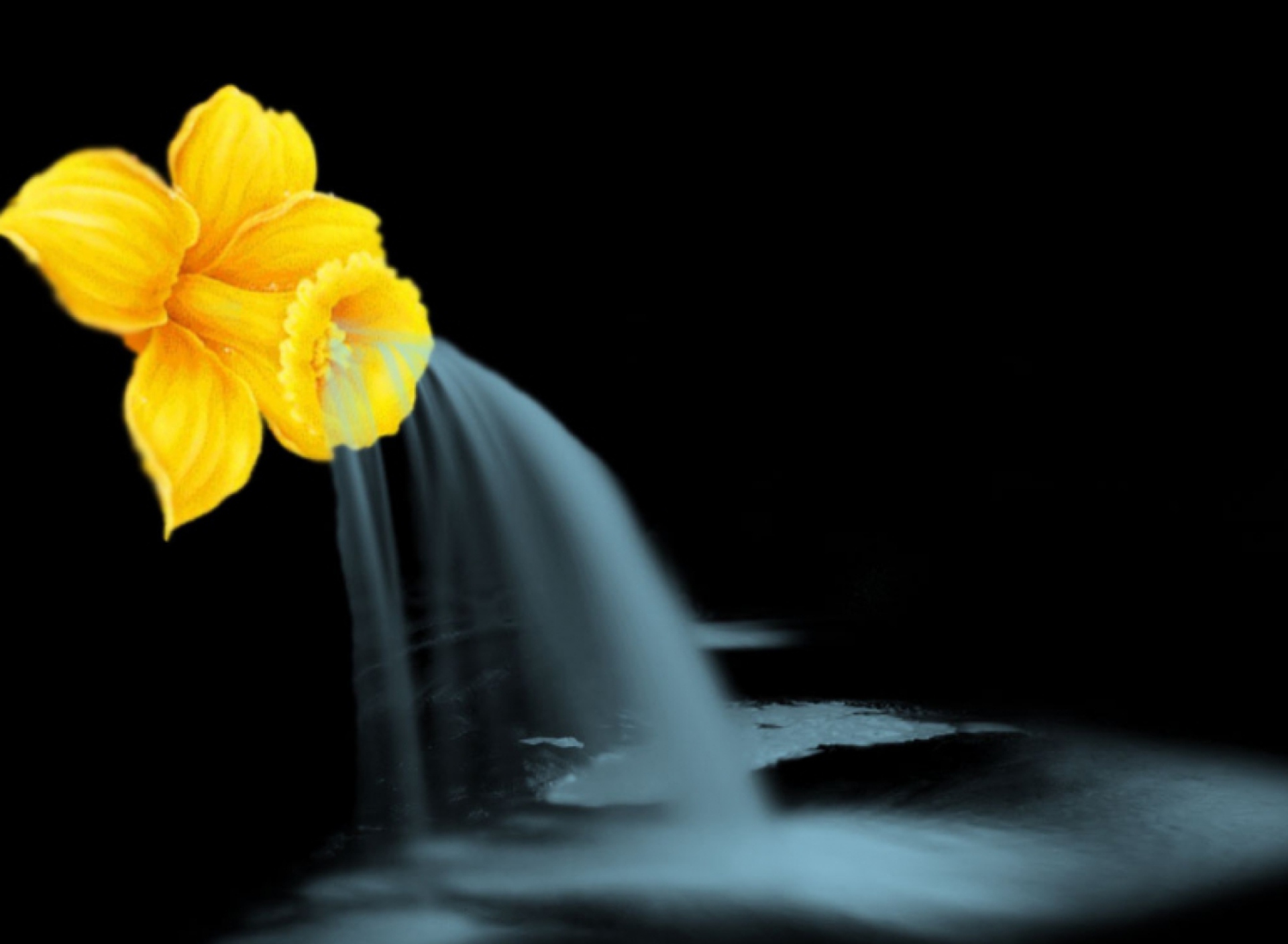Fondo de pantalla Yellow Flower 1920x1408