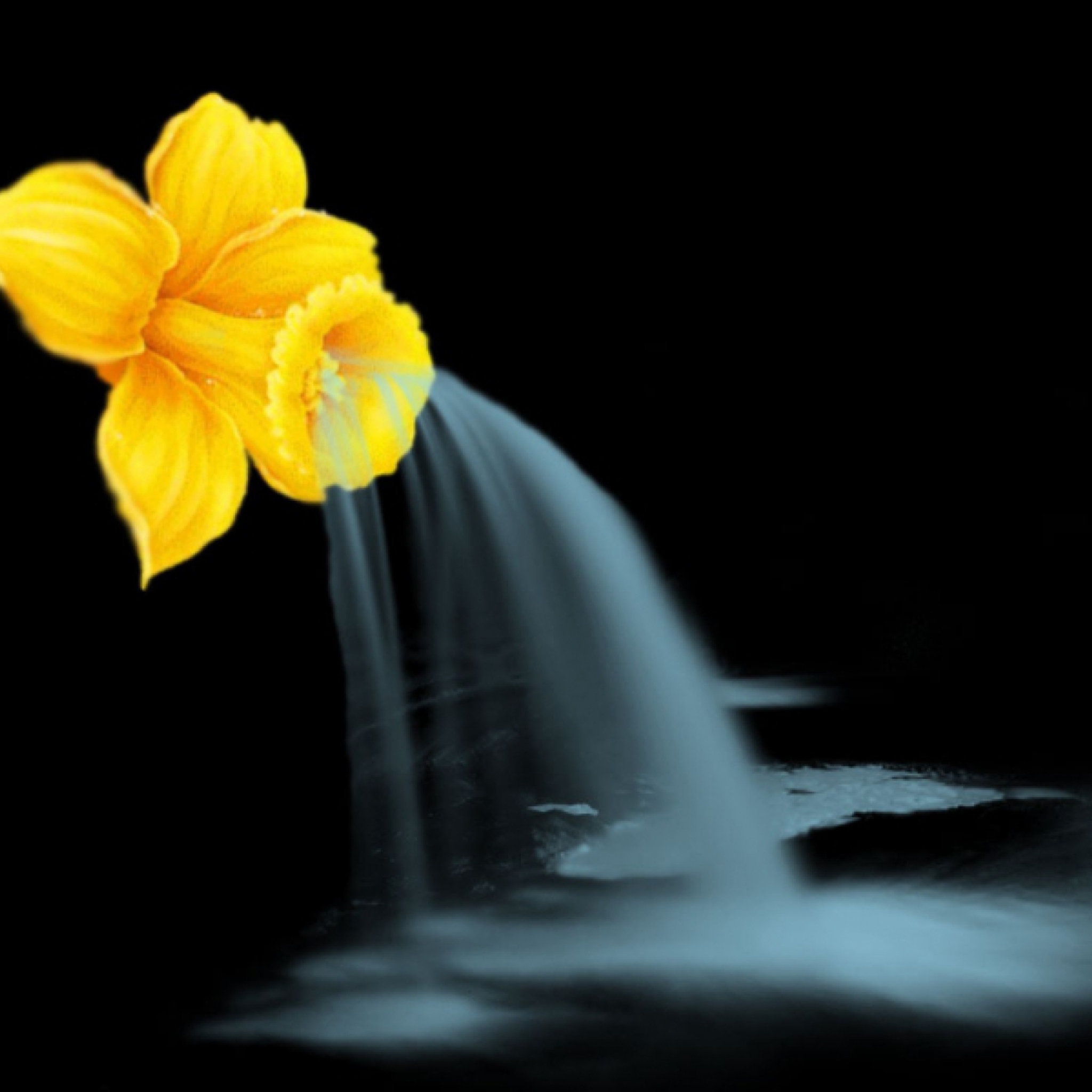Sfondi Yellow Flower 2048x2048