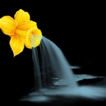 Fondo de pantalla Yellow Flower 208x208