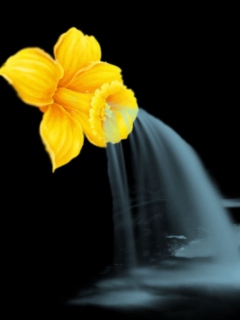 Yellow Flower screenshot #1 240x320