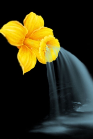 Fondo de pantalla Yellow Flower 320x480