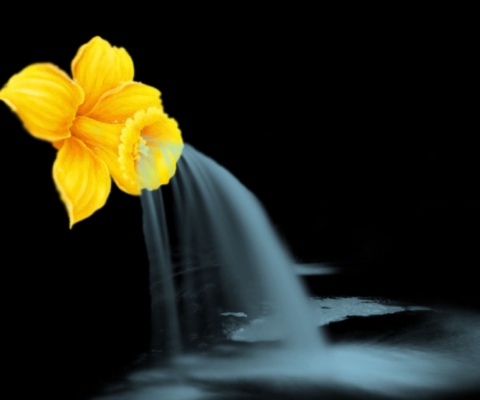 Fondo de pantalla Yellow Flower 480x400