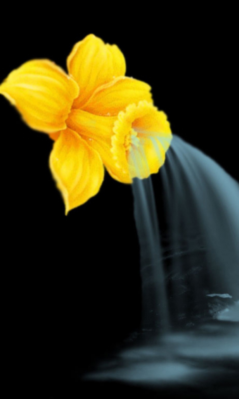 Yellow Flower wallpaper 768x1280