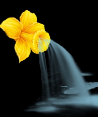 Yellow Flower - Obrázkek zdarma pro Nokia C2-02