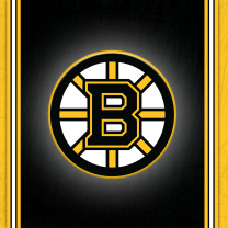Das Boston Bruins Logo Wallpaper 208x208