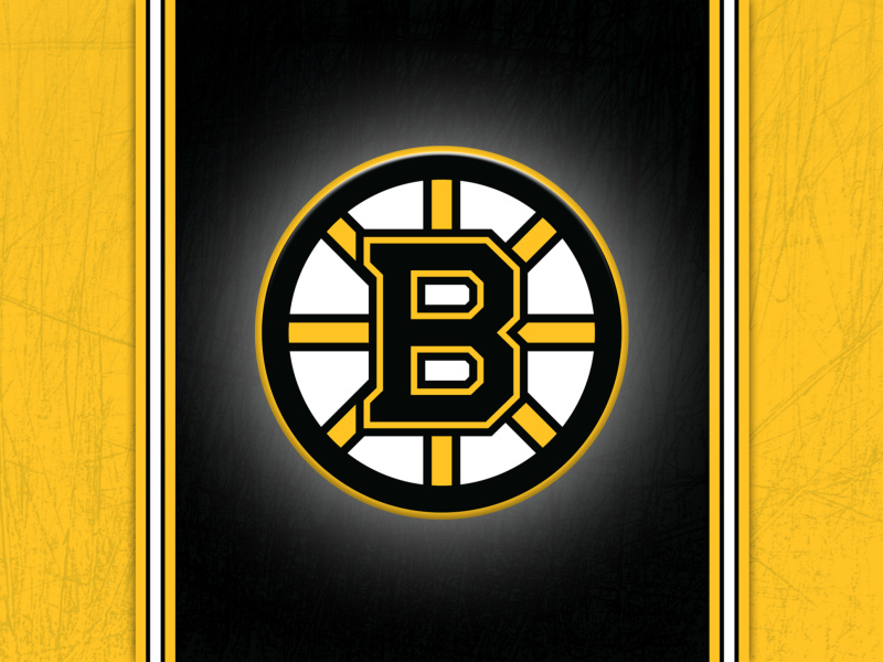 Das Boston Bruins Logo Wallpaper 800x600