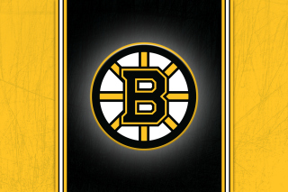Kostenloses Boston Bruins Logo Wallpaper für Android, iPhone und iPad
